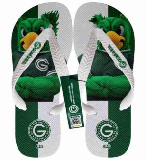 Chinelo Goiás EC